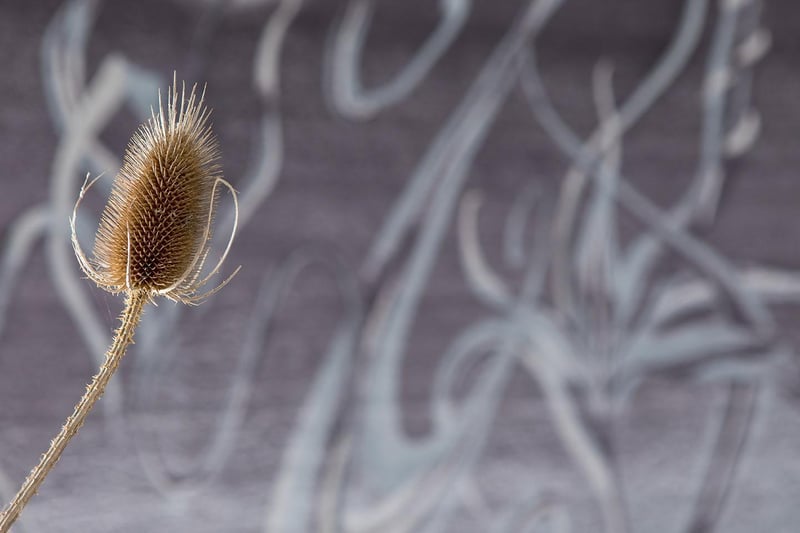 Ecole des arts décoratifs - PSL 